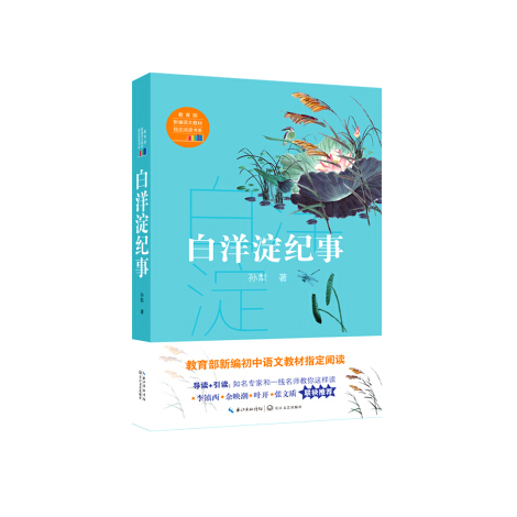 白洋淀纪事